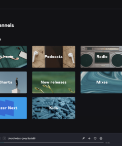 رابط کاربری اپلیکیشن دیزر