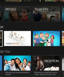 شبکه های موجود در هولو