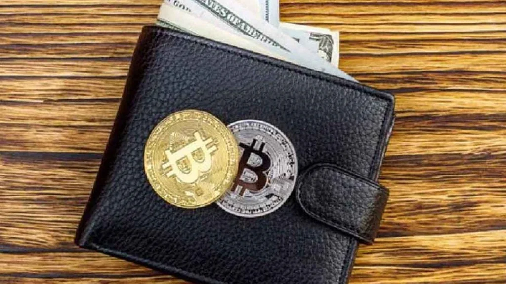 how store bitcoins wallet